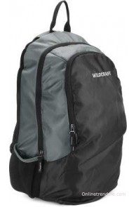 Wildcraft 17 inch Laptop Backpack(Grey)